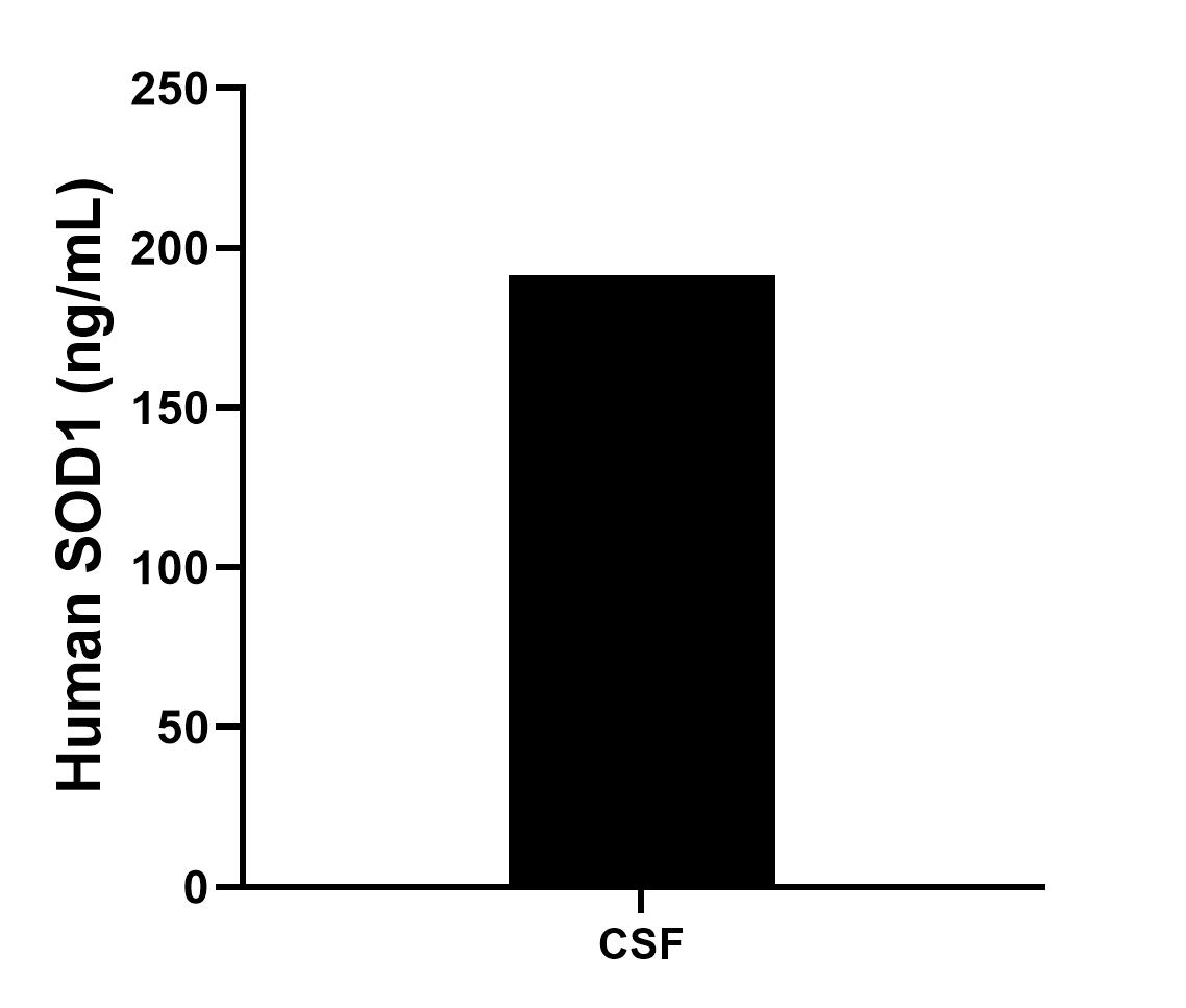 The human SOD1 concentration in human cerebro-spinal fluid was determined to be 191.6 ng/ml.